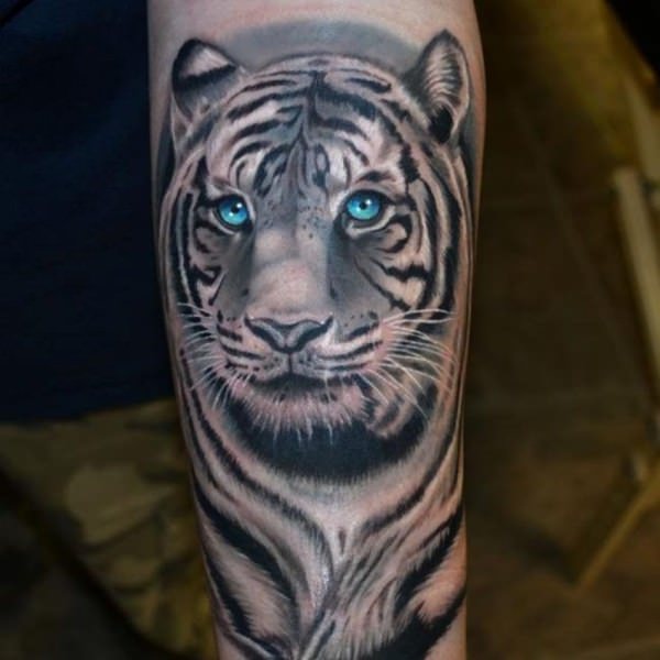 tiger tattoo 209