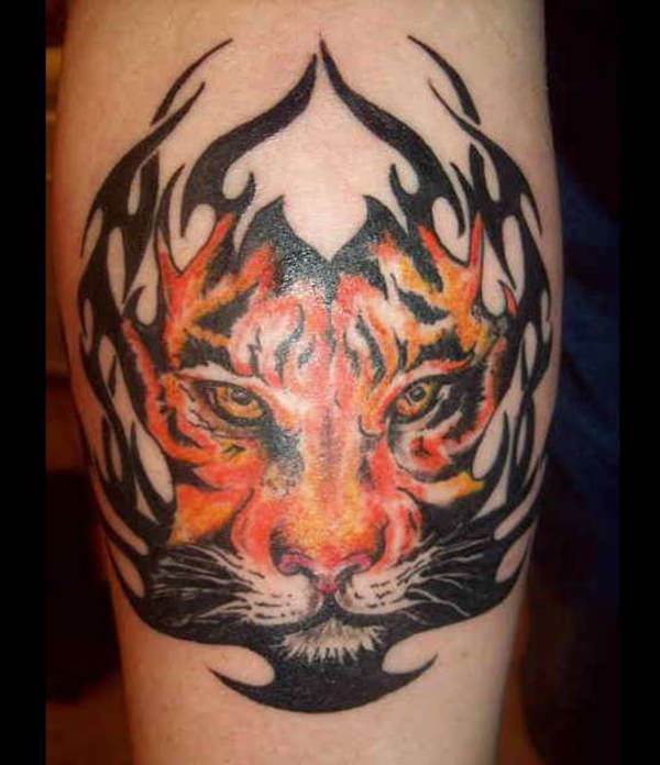 tiger tattoo 219