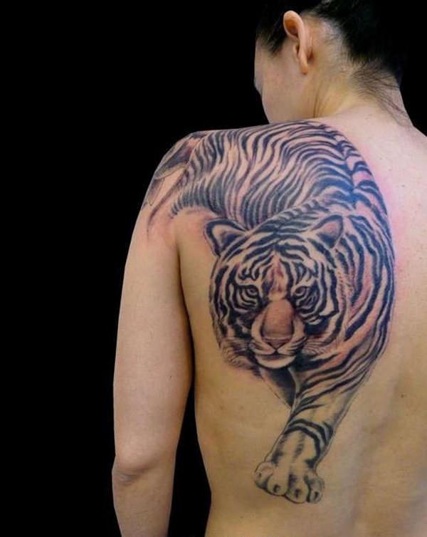 tiger tattoo 230