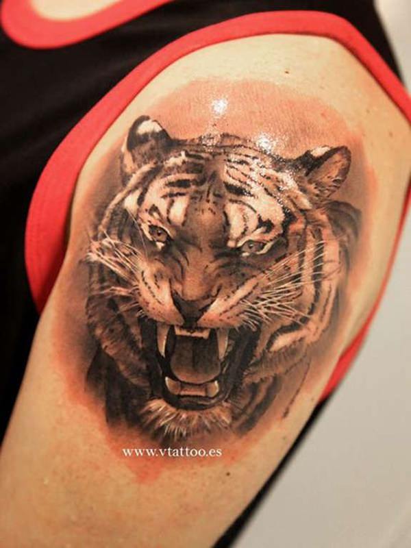 tiger tattoo 241