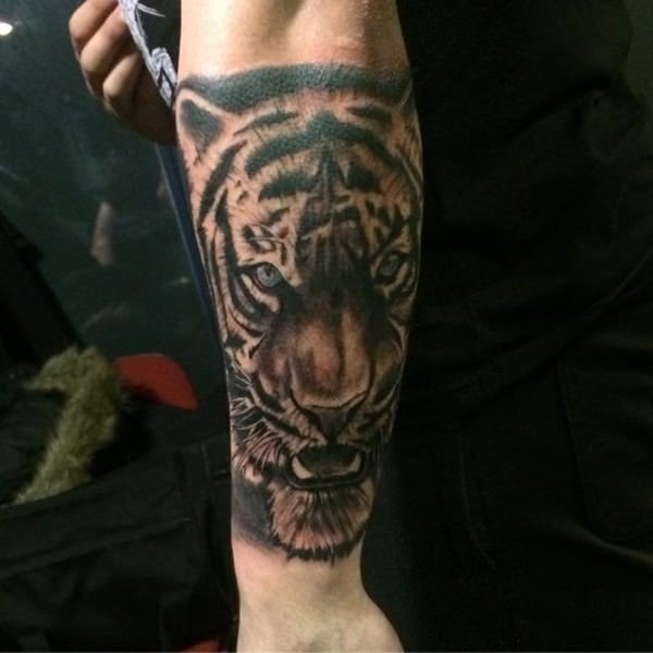 tiger tattoo 260