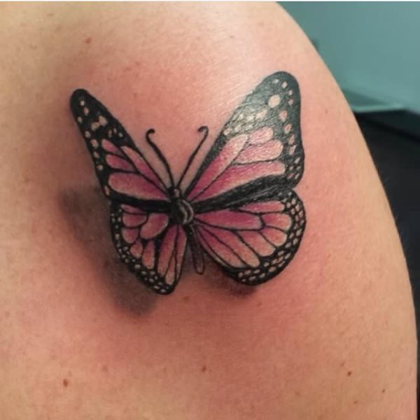 butterfly tattoo 558