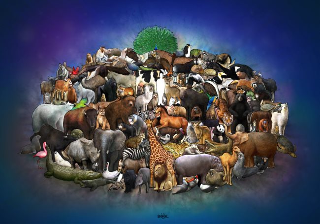 Che cosa simboleggiano gli animali? I 48 più popolari