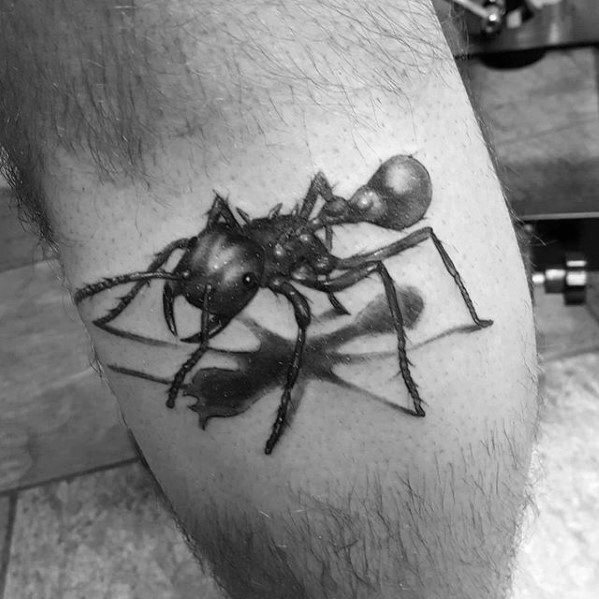 tatuaggio formica 02