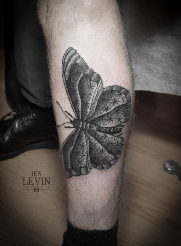 tatuaggio farfalla 831