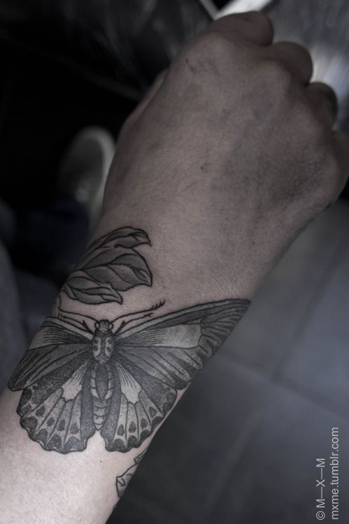 tatuaggio farfalla 896