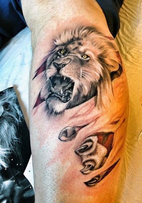 tatuaggio leone 440