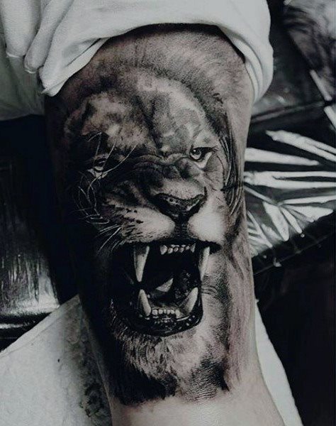 tatuaggio leone 687