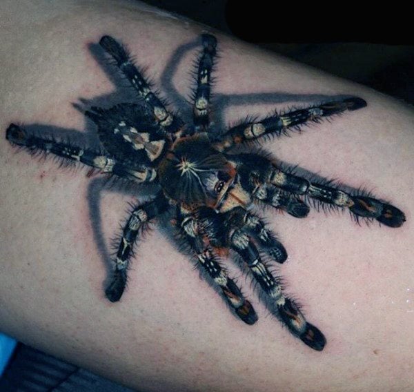 40 Tatuaggi con gli insetti (con significato)