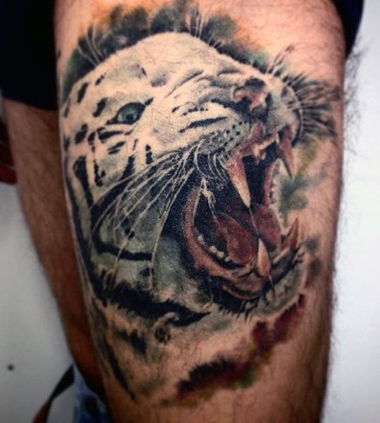 tatuaggio tigre 544