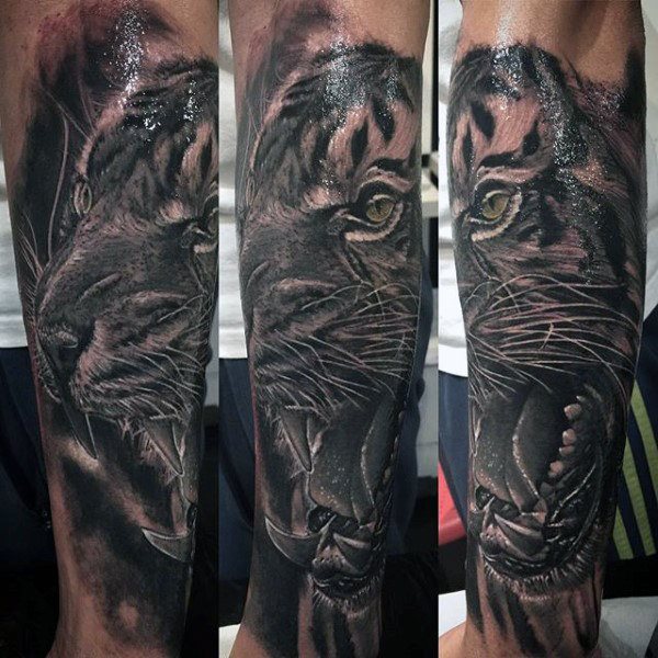 tatuaggio tigre 570