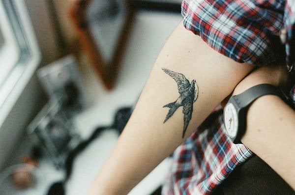 tatuaggio bicipite 529
