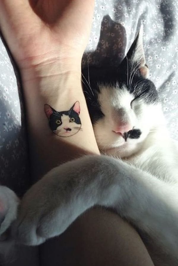 diseno tatuaggio gatto 29