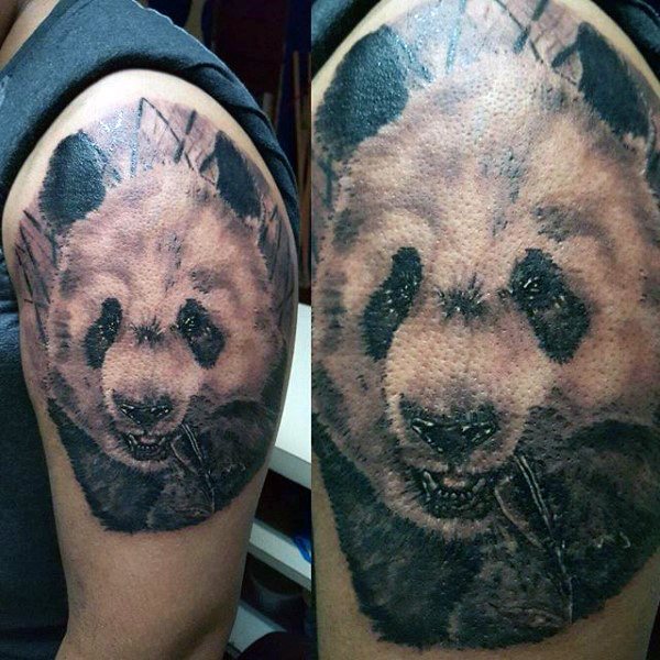 tatuaggio urso panda 123