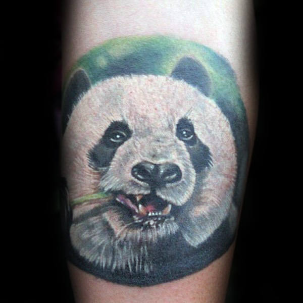 tatuaggio urso panda 15