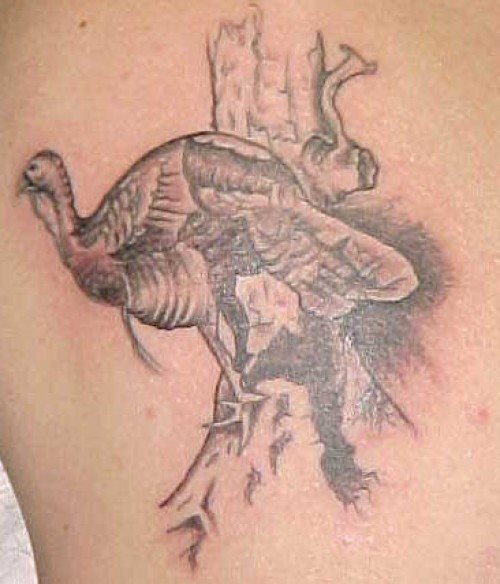 tatuaggio pavone 142