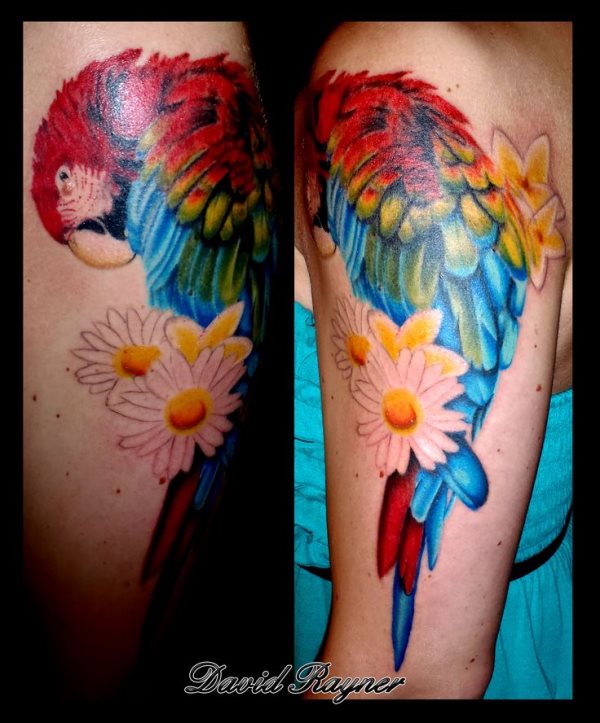 tatuaggio pappagallo 116