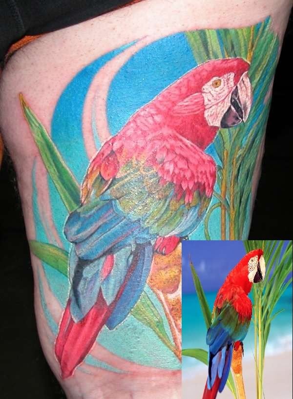 tatuaggio pappagallo 134