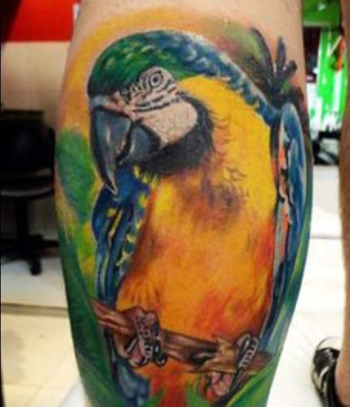 tatuaggio pappagallo 170