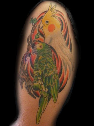 tatuaggio pappagallo 173