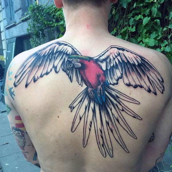 tatuaggio pappagallo 215