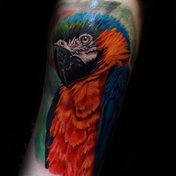 tatuaggio pappagallo 299