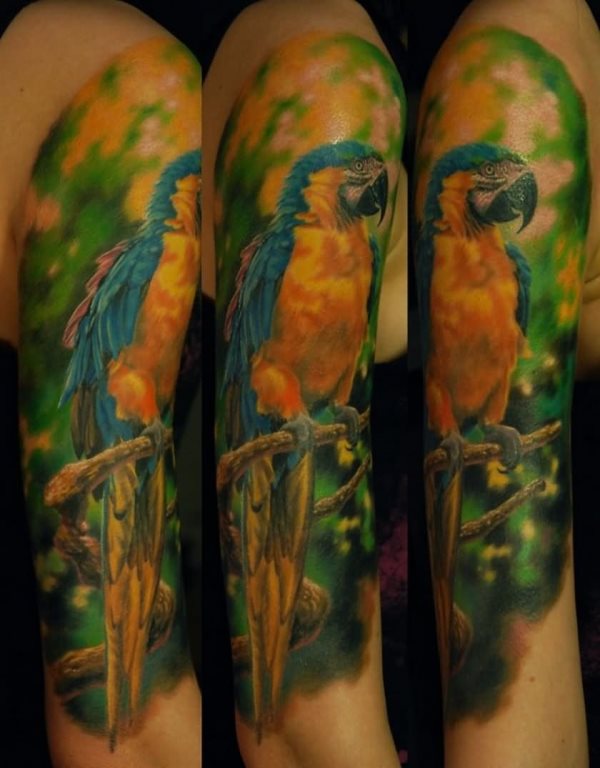 tatuaggio pappagallo 305
