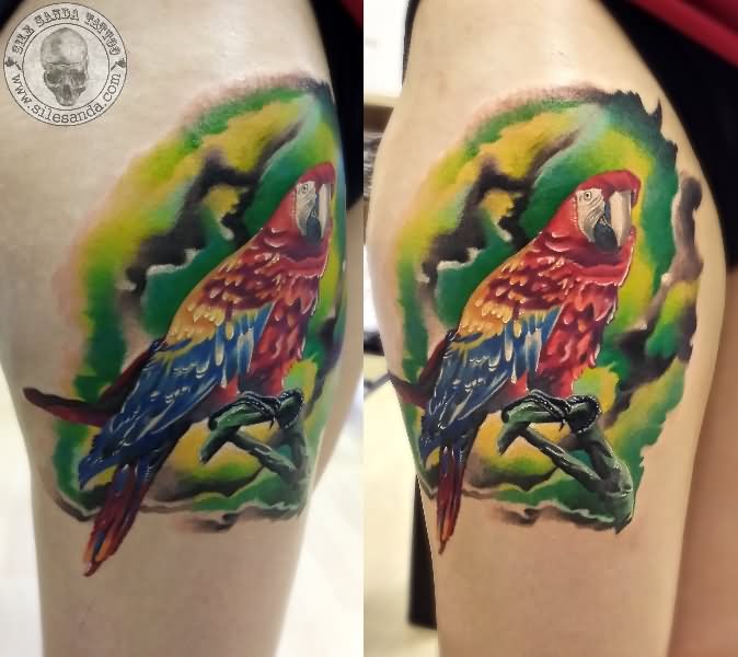 tatuaggio pappagallo 38