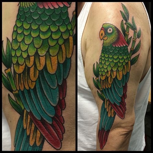tatuaggio pappagallo 419