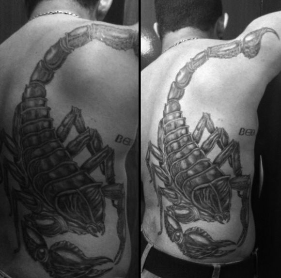 tatuaggio scorpione 113