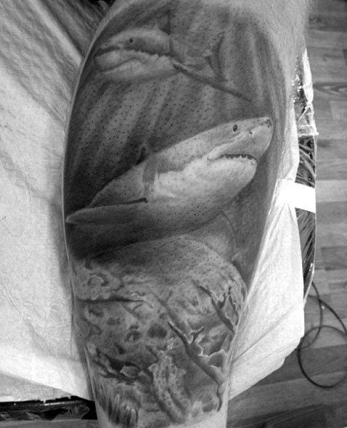 tatuaggio squalo 224