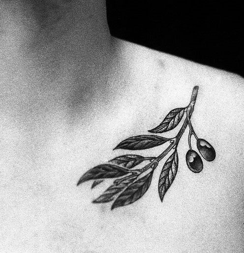 tatuaggio ramo olivo 07