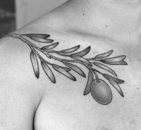 tatuaggio ramo olivo 10