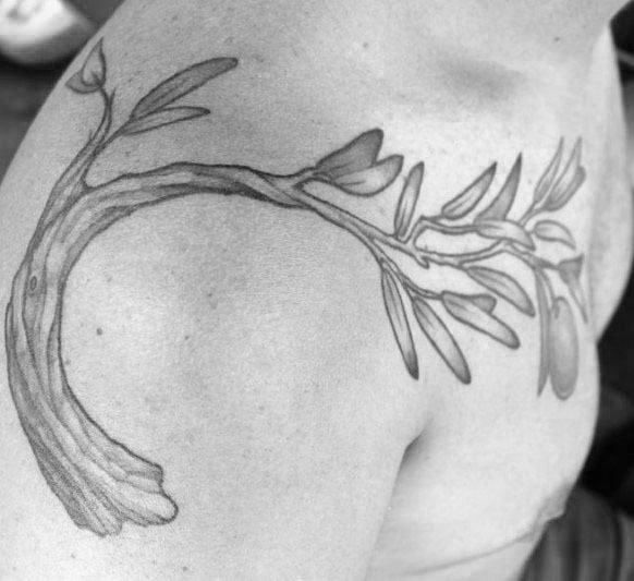 tatuaggio ramo olivo 115