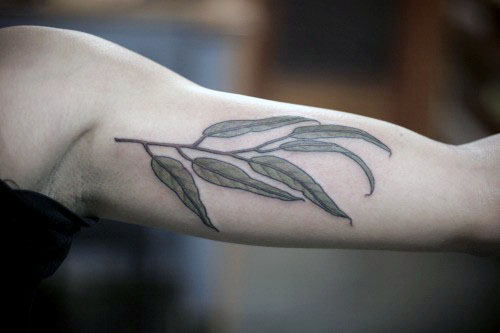 tatuaggio ramo olivo 136