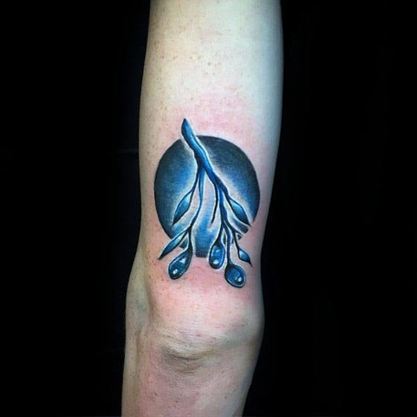 tatuaggio ramo olivo 16