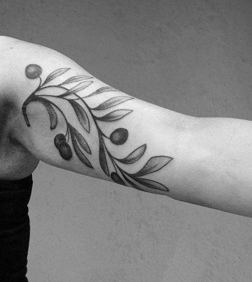 tatuaggio ramo olivo 169