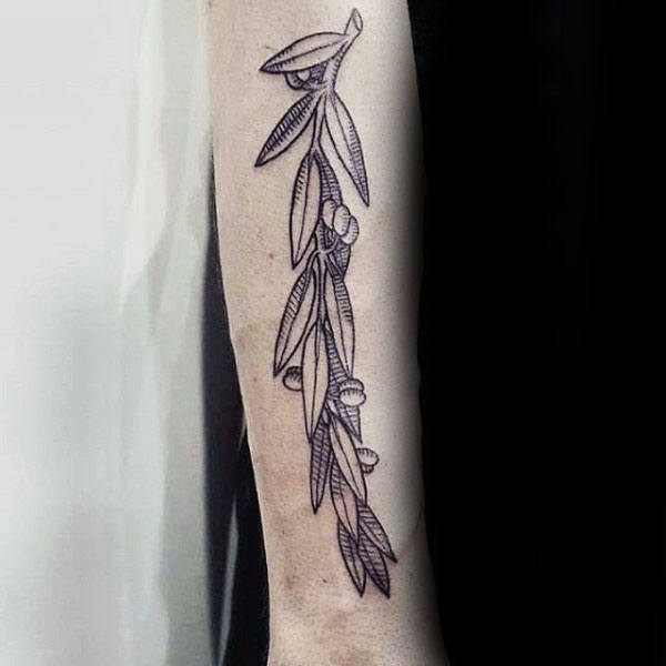 tatuaggio ramo olivo 181