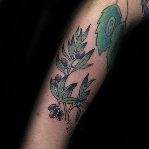 tatuaggio ramo olivo 43