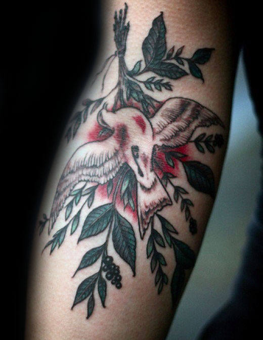 tatuaggio ramo olivo 73