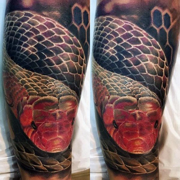 tatuaggio serpente 152