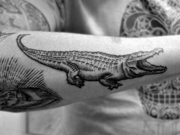 tatuaggio coccodriloo caimano 166