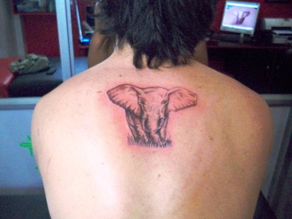 tatuaggio elefante 142