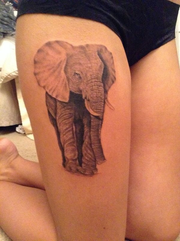 tatuaggio elefante 181
