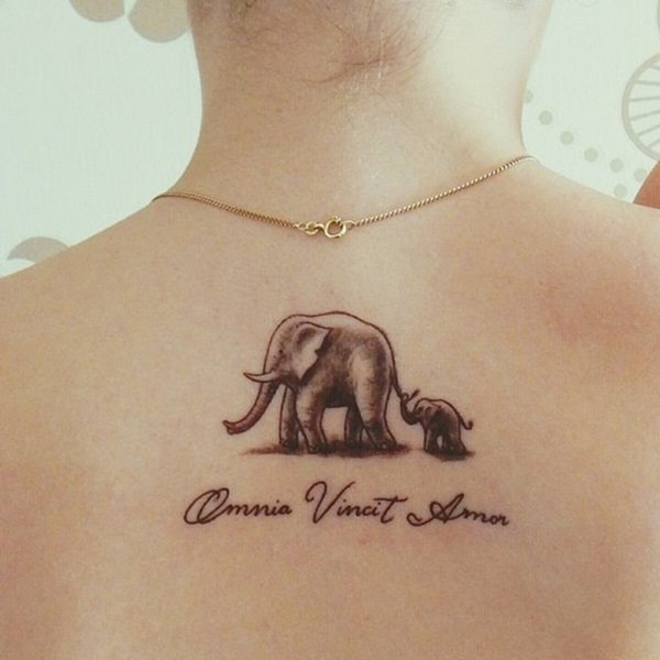 tatuaggio elefante 233