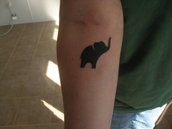 tatuaggio elefante 259