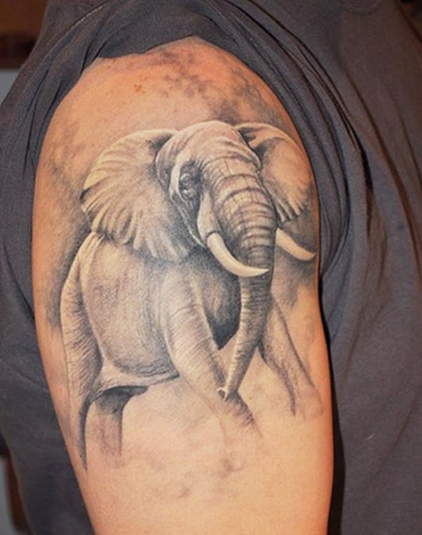 tatuaggio elefante 337