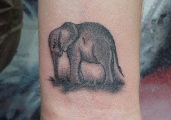 tatuaggio elefante 376