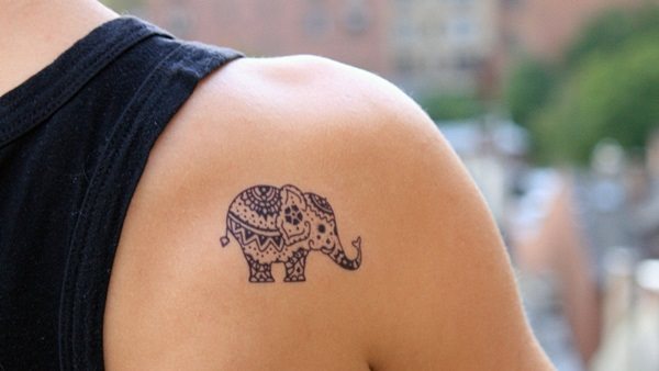 tatuaggio elefante 493