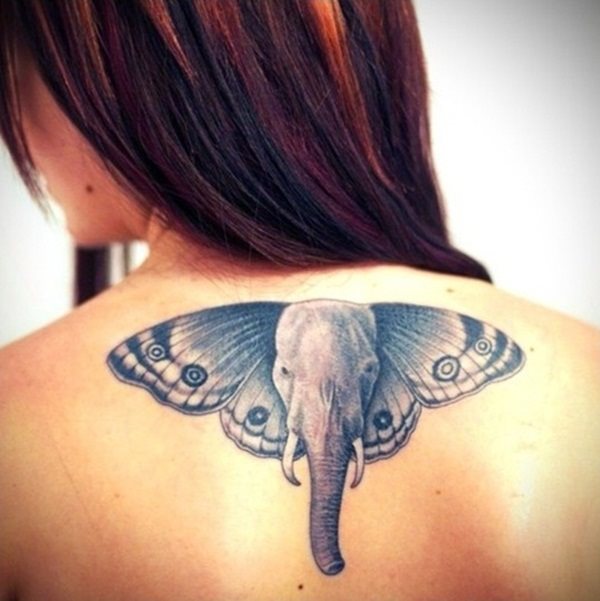 tatuaggio elefante 545